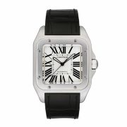 cartier-w20073x8-image-10489-899859