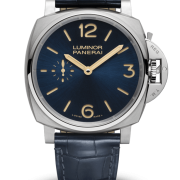 pam00728-d9