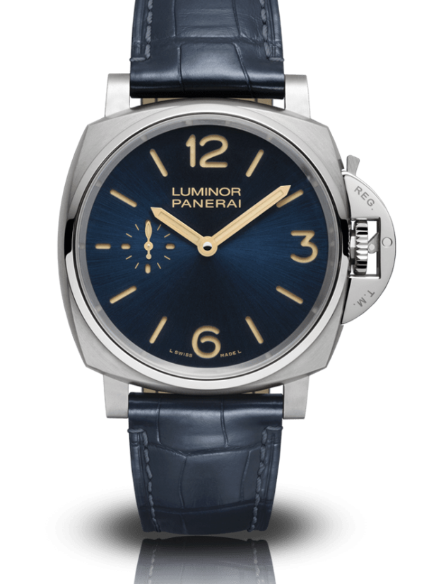 pam00728-d9