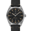 Omega Seamaster Railmaster